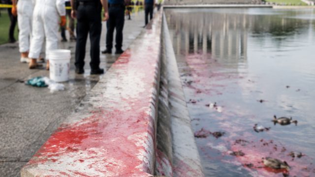 Reflecting Pool Under Fire: Va