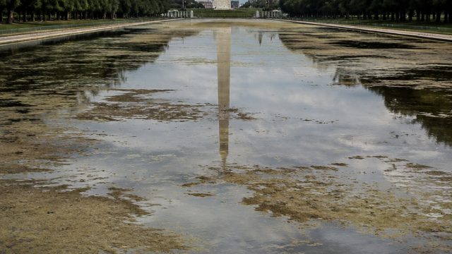 Concerns Grow Over Delayed Restoration of DC's Iconic Reflecting Pool
